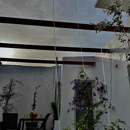 Relax Under The Mulberry Tree Apartment
