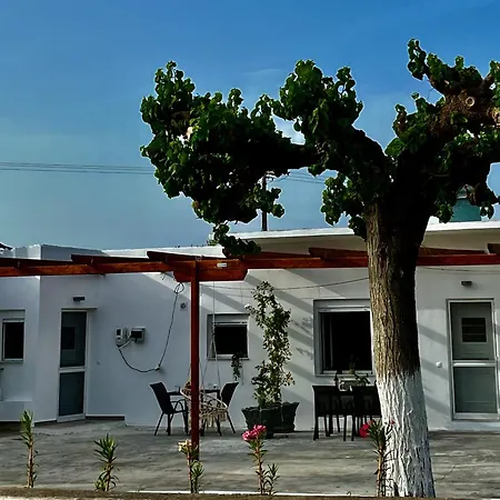 Relax Under The Mulberry Tree Apartment
