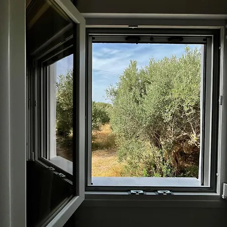 Relax Under The Mulberry Tree Apartment