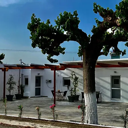 Relax Under The Mulberry Tree *