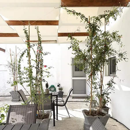 Relax Under The Mulberry Tree Apartment *