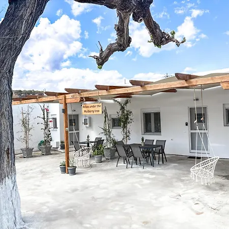 Relax Under The Mulberry Tree *