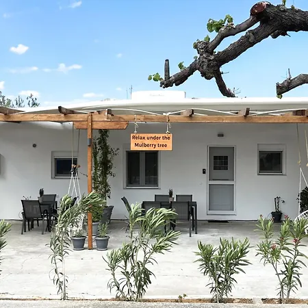 Apartment Relax Under The Mulberry Tree